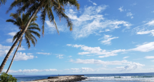 A day at the beach